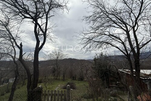 Thumbnail 6249136 - 5