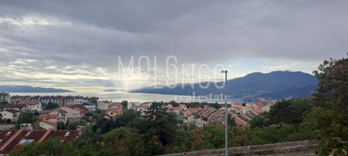 Thumbnail 6249303 - 10