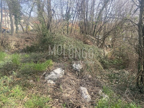 Thumbnail 6249311 - 7