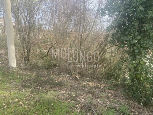 Thumbnail 6249311 - 8