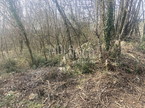 Thumbnail 6249311 - 4