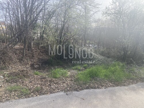 Thumbnail 6249311 - 9