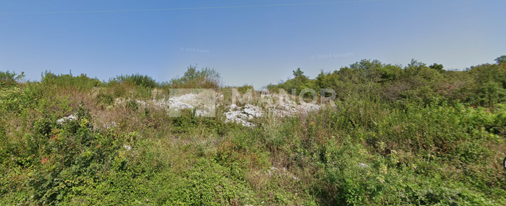 Image 6249327 - 1