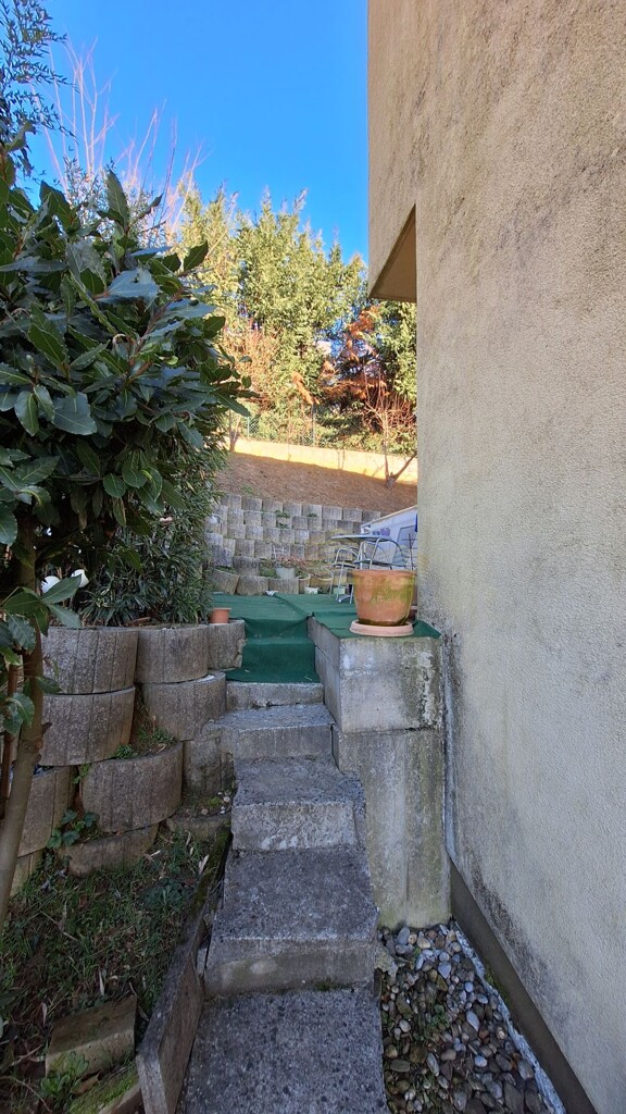 Image 6249340 - 16