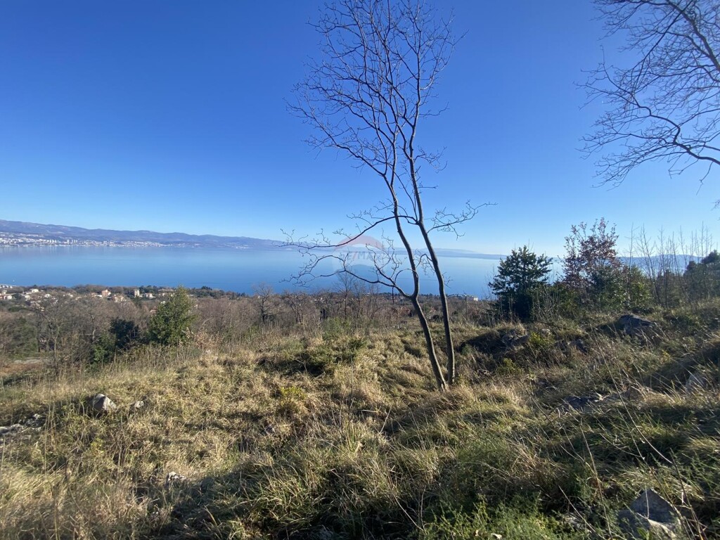 Image 6249360 - 4