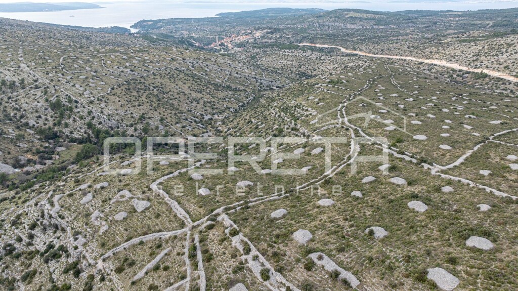 Image 6249706 - 11