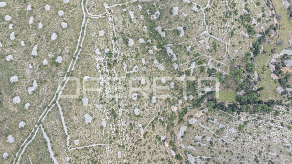 Image 6249706 - 3