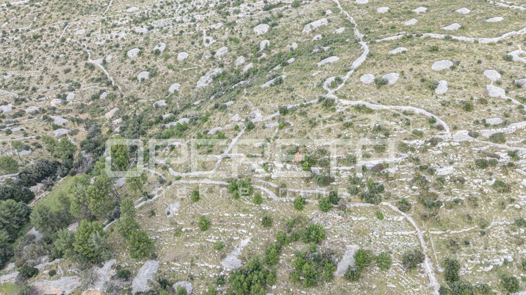 Image 6249706 - 5