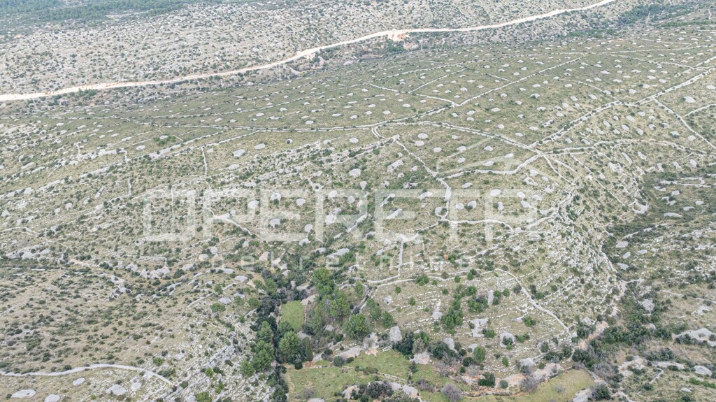Image 6249706 - 2