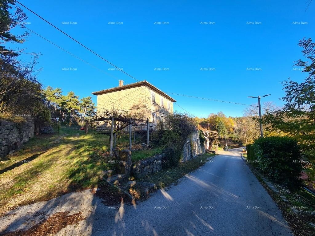 Image 6249730 - 1