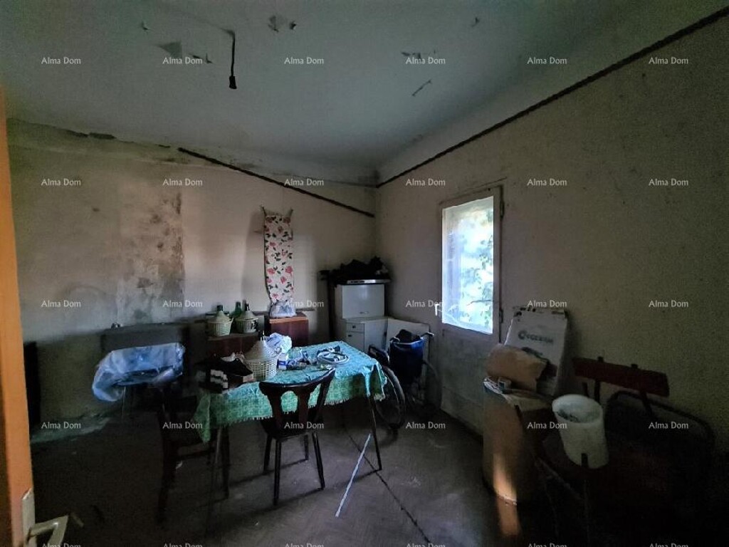 Image 6249730 - 4