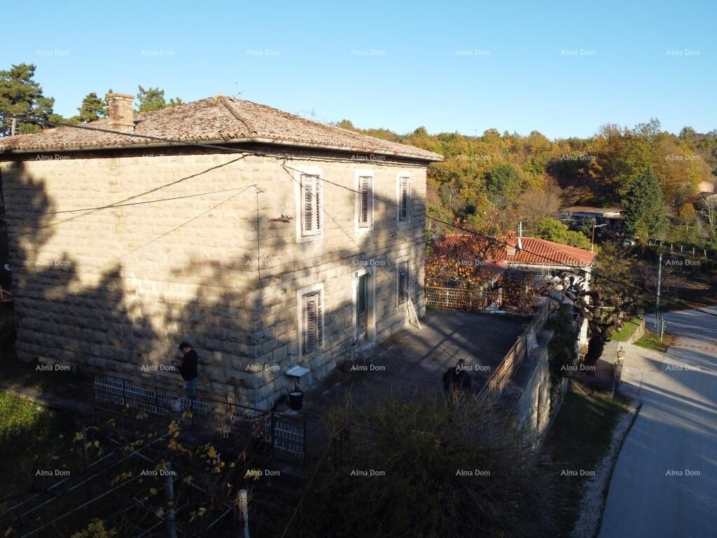 Image 6249730 - 17
