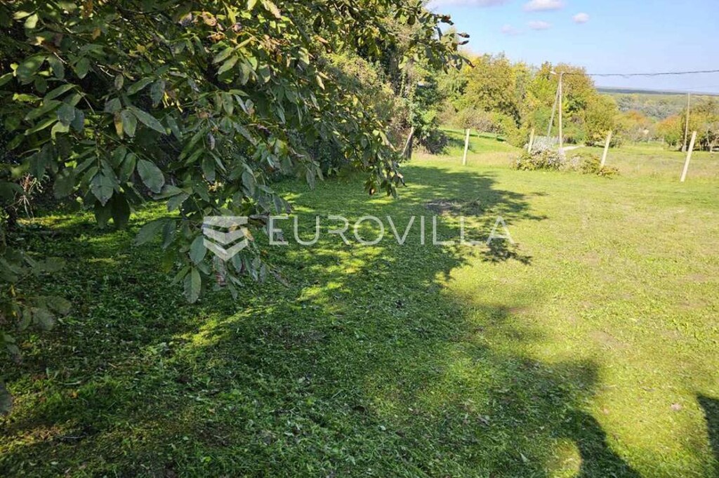 Image 6249869 - 2