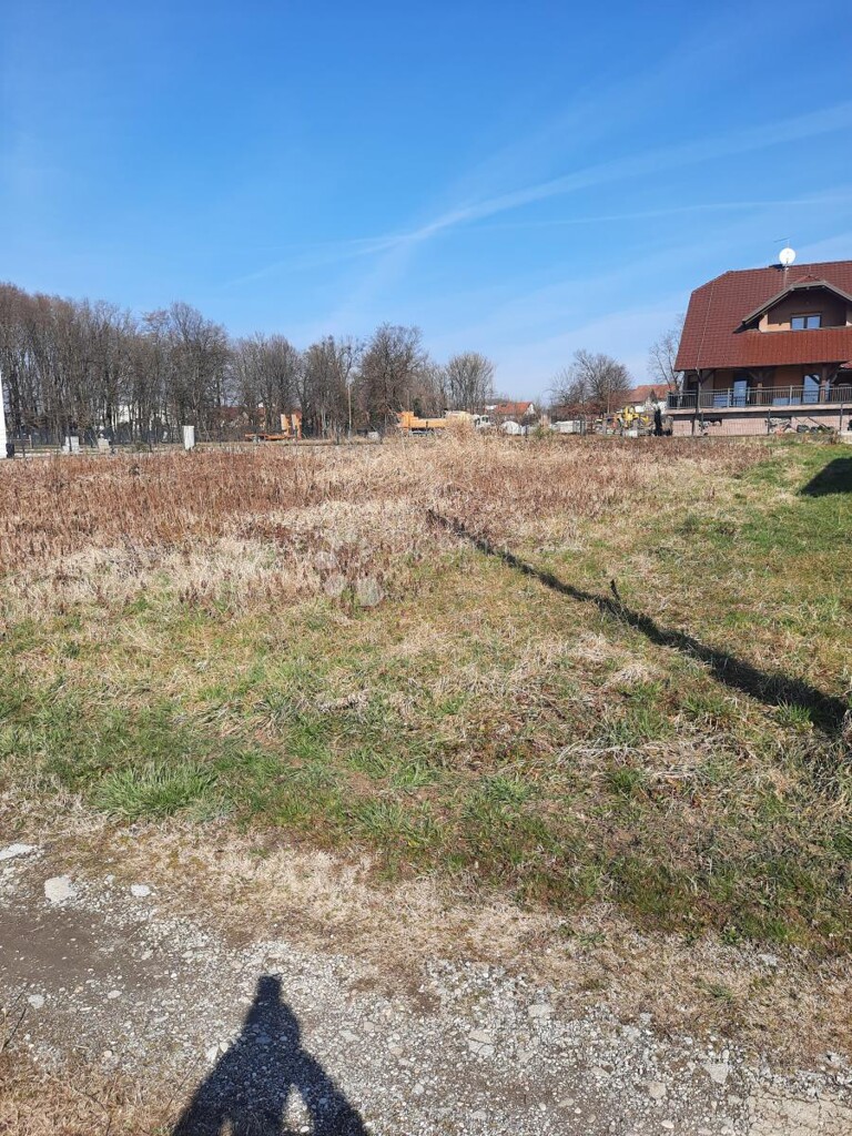 Image 6249896 - 4