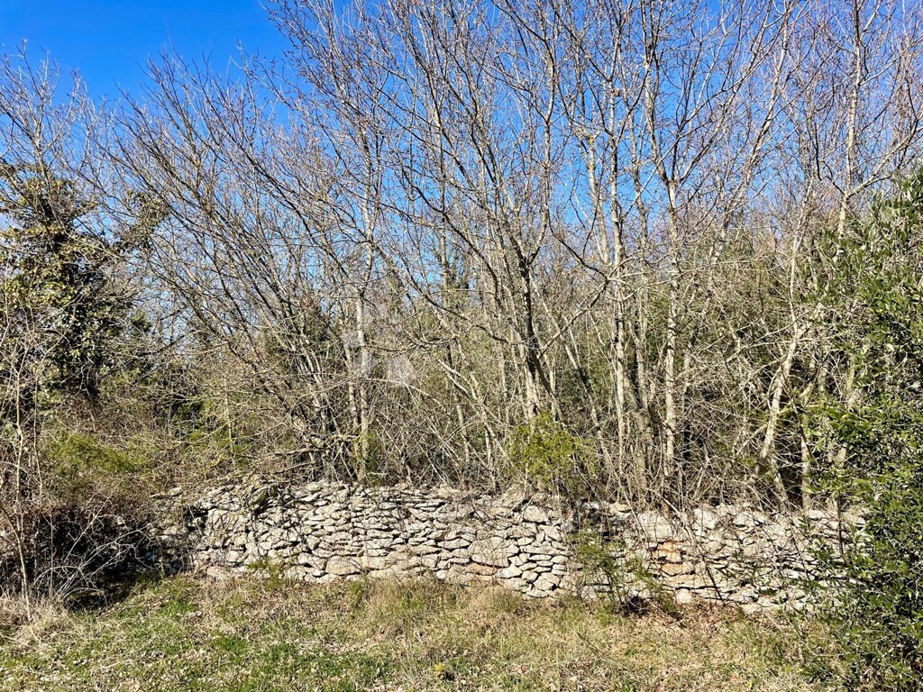Image 6249913 - 4