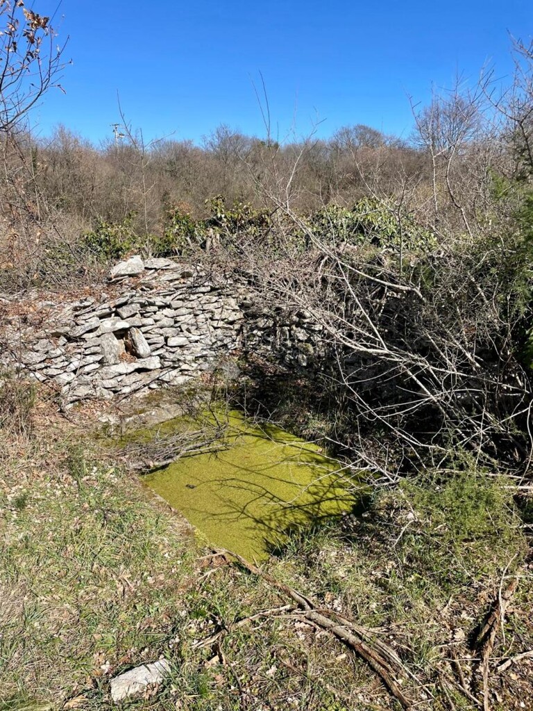 Image 6249913 - 7