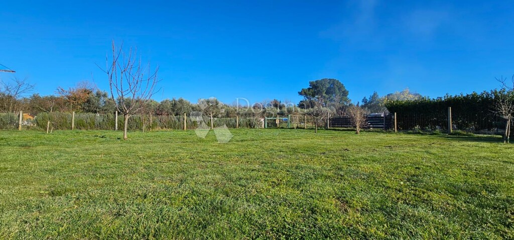 Image 6249916 - 16