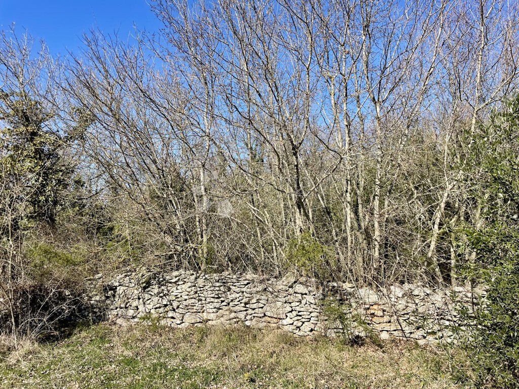 Image 6249922 - 9