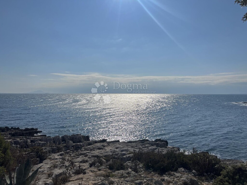 Image 6249926 - 3
