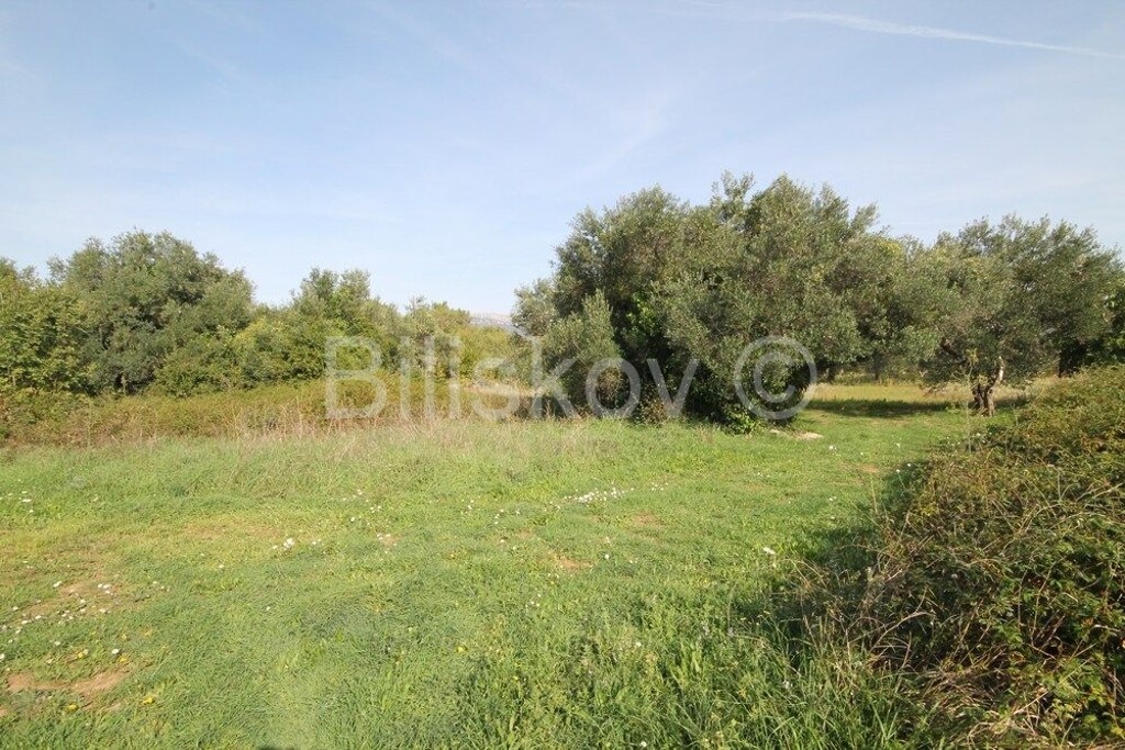 Image 6249996 - 1
