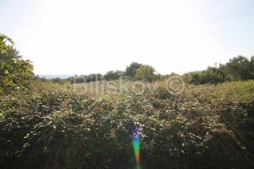 Thumbnail 6249996 - 4