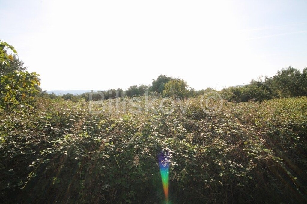 Image 6249996 - 4