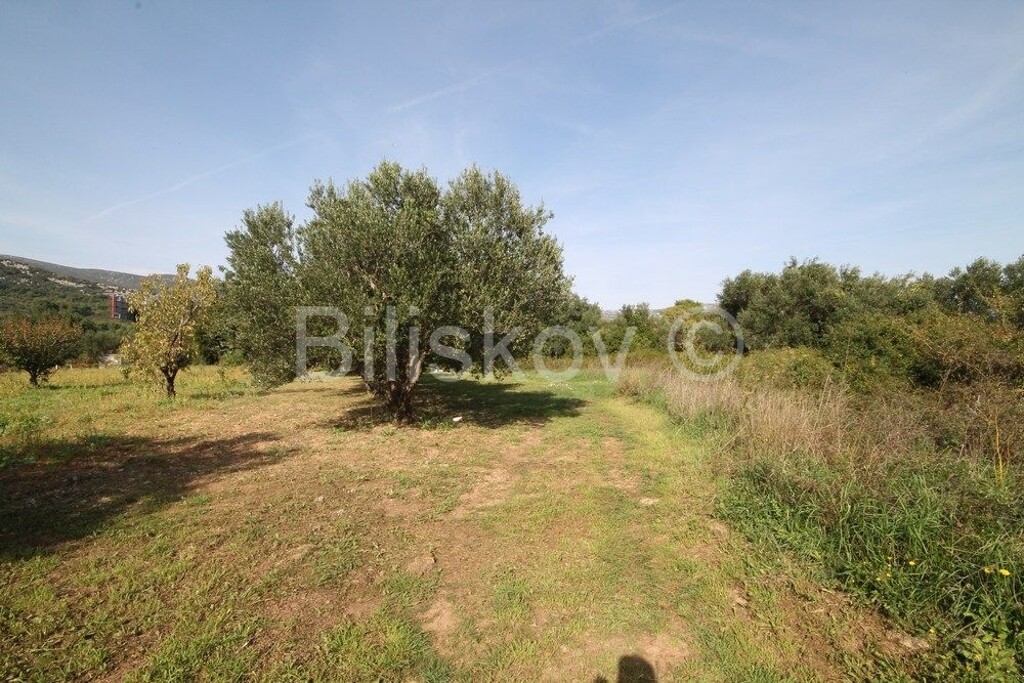 Image 6249996 - 3