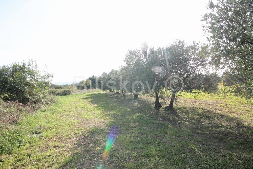 Image 6249996 - 5