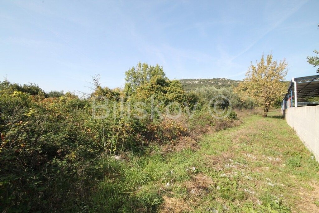 Image 6249997 - 3