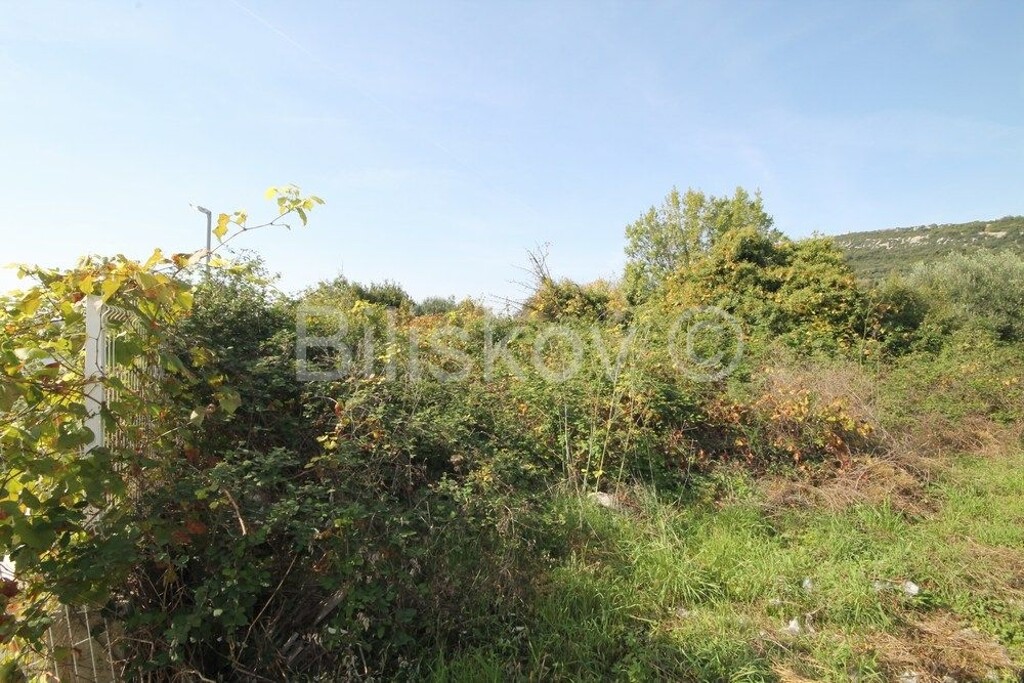 Image 6249997 - 4
