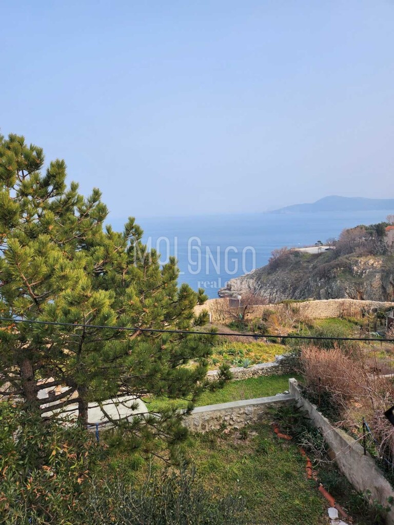 Image 6250056 - 5