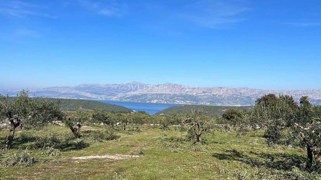 Image 6250062 - 1