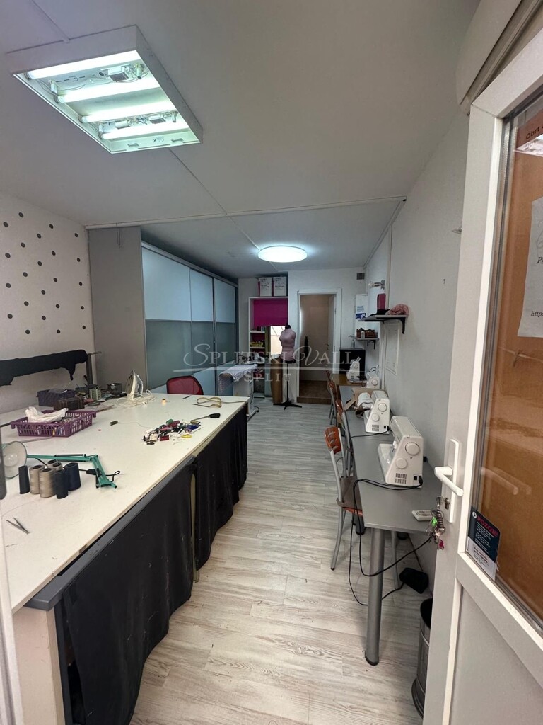 Image 6250066 - 2