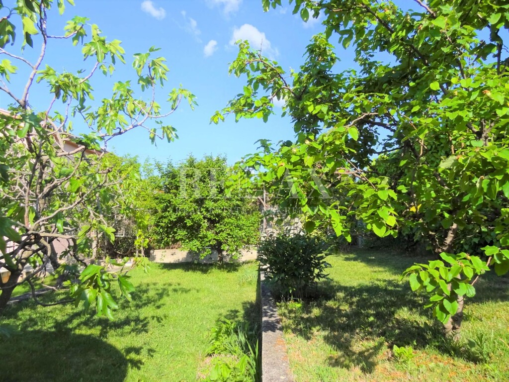 Image 6250071 - 19