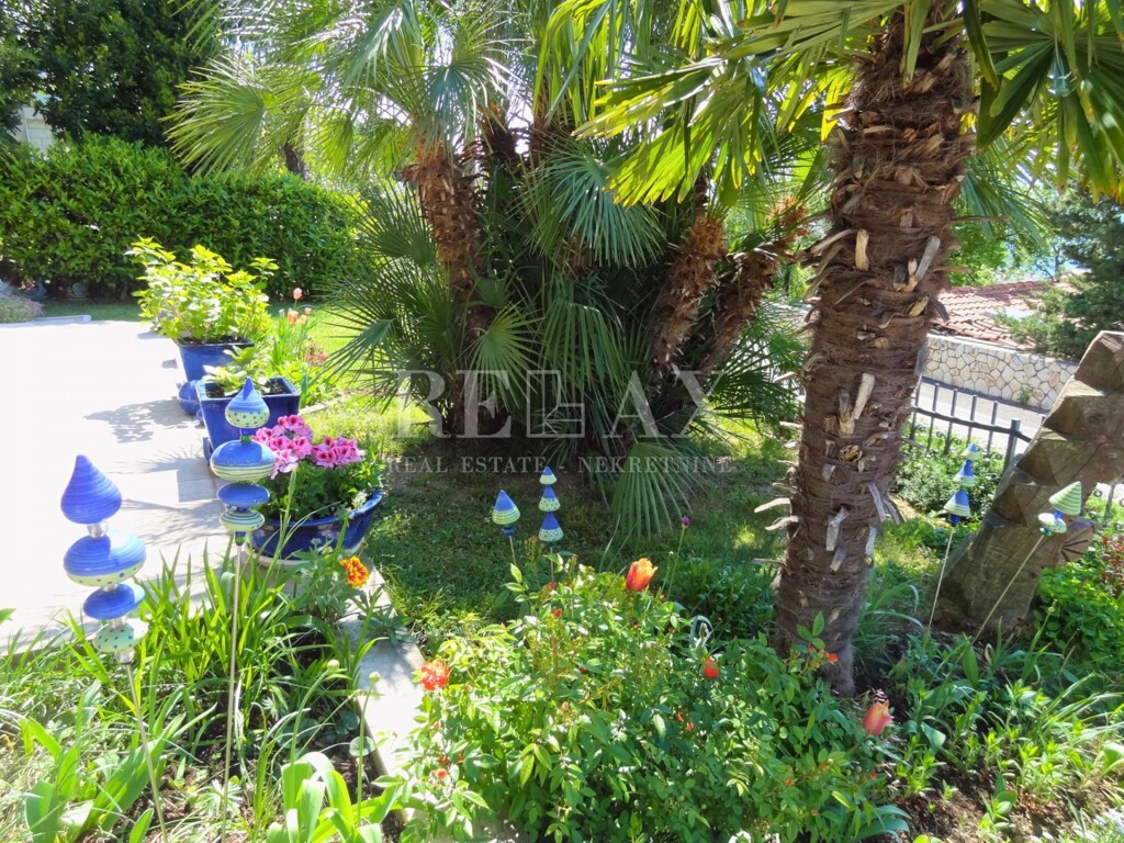 Image 6250071 - 9