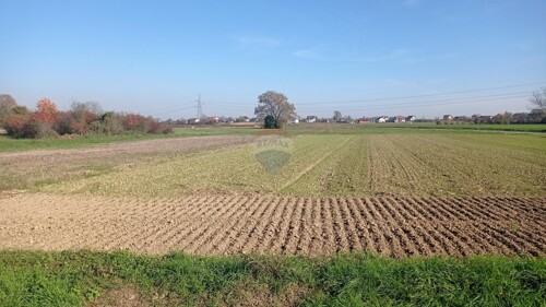 Thumbnail 6250129 - 3