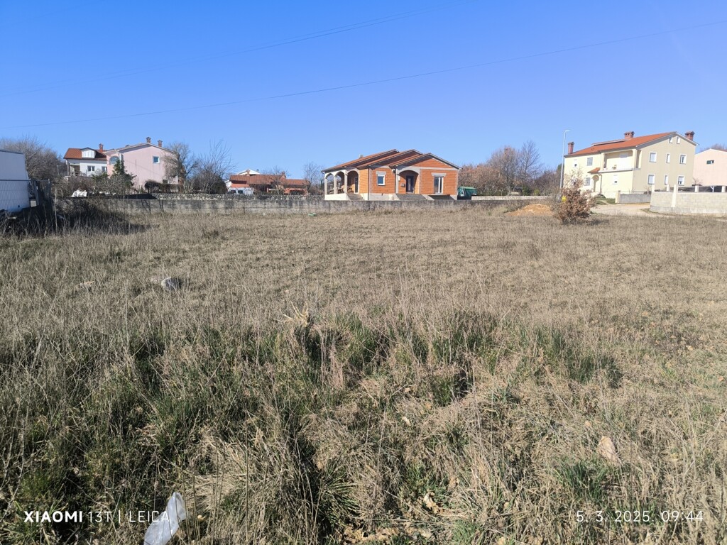 Image 6250148 - 1