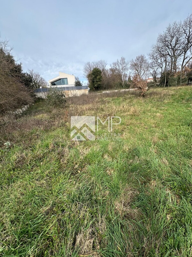 Image 6250409 - 3