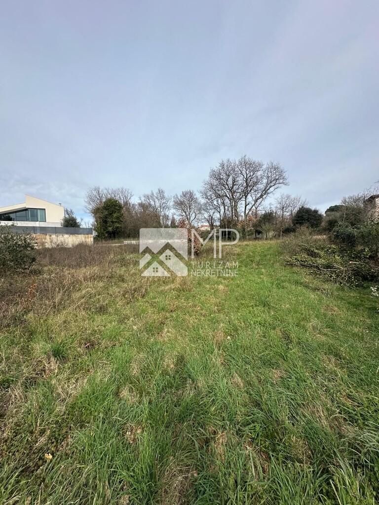 Image 6250409 - 1