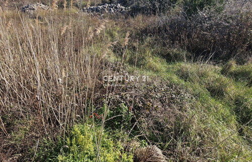 Thumbnail 6250447 - 6