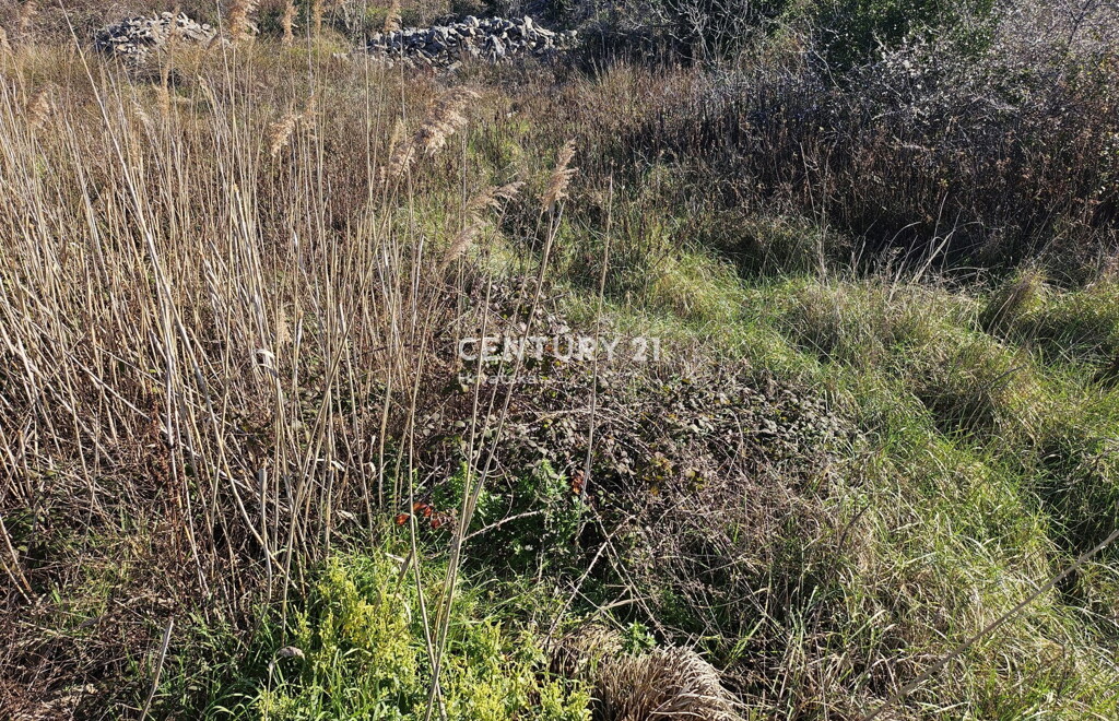 Image 6250447 - 6