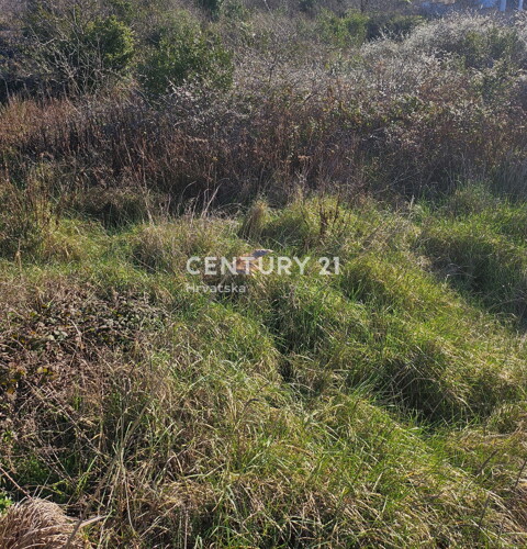 Thumbnail 6250447 - 4