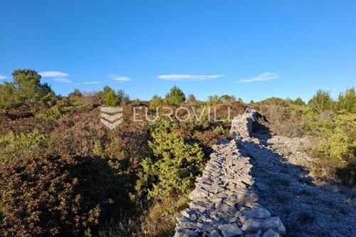 Thumbnail 6250572 - 6