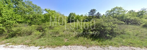 ISTRA, VIŠNJAN Poljoprivredno zemljište 15km od mora