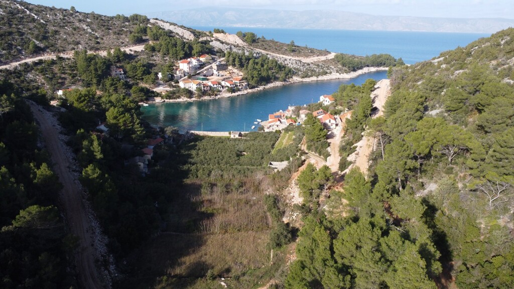 Image 6250724 - 5