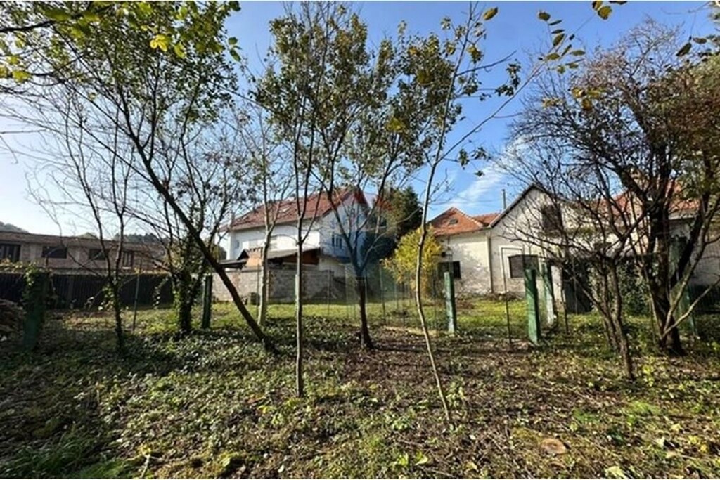 Image 6250743 - 17