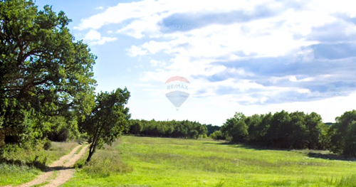 Thumbnail 6250762 - 1