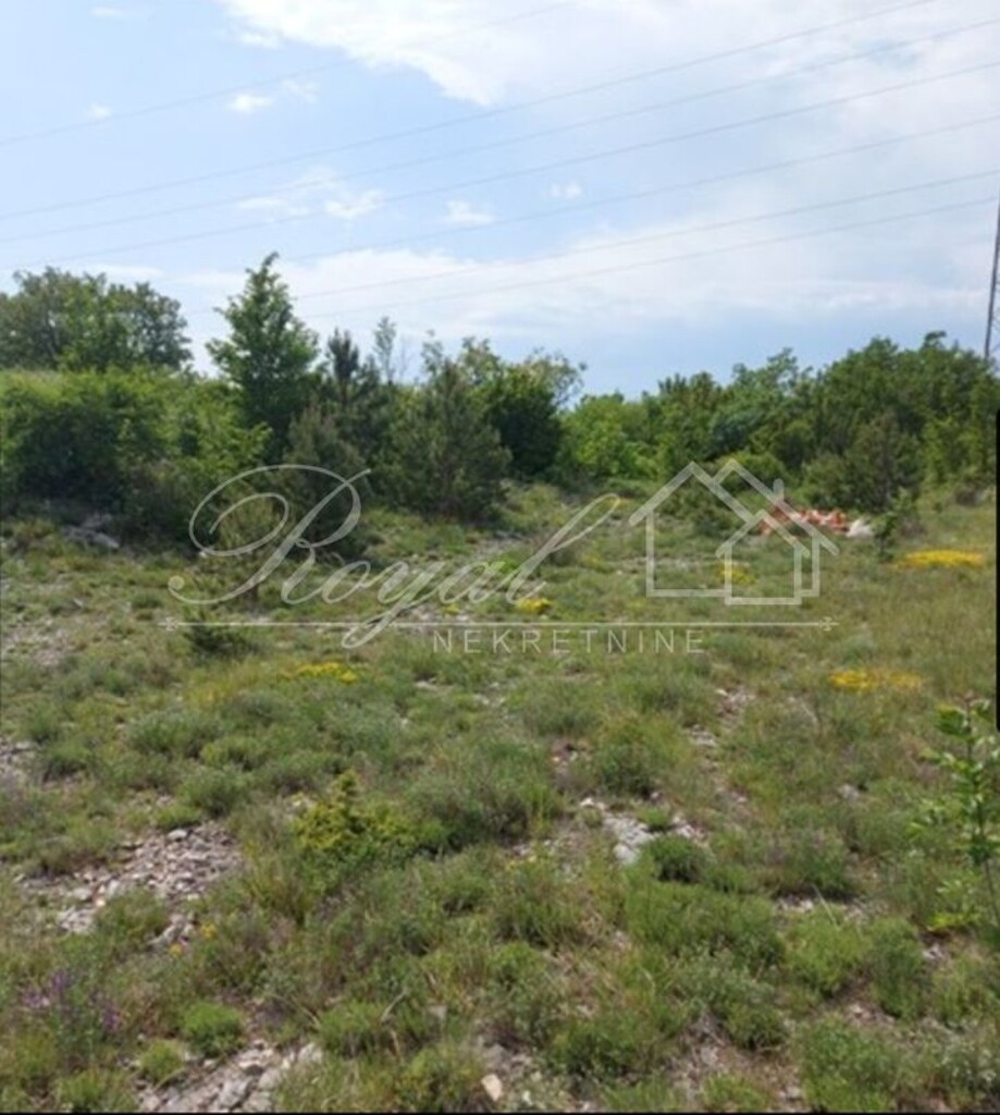 Image 6251043 - 3