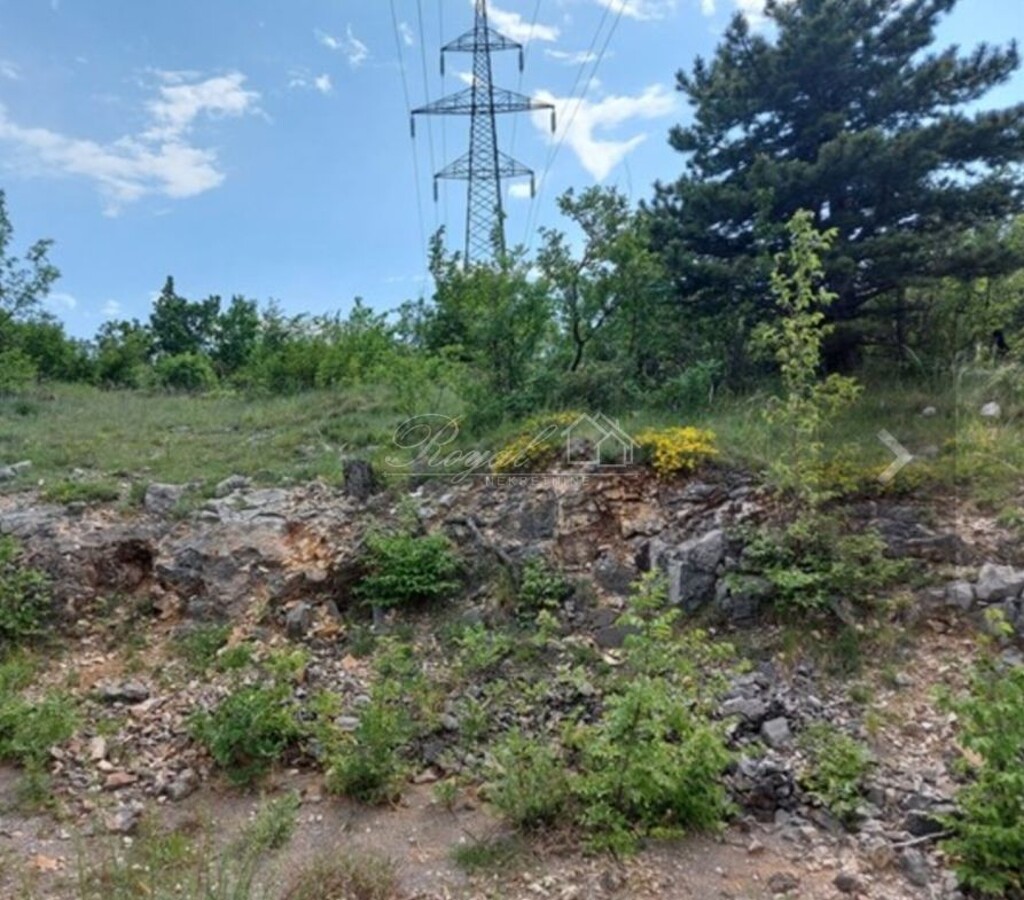 Image 6251043 - 5