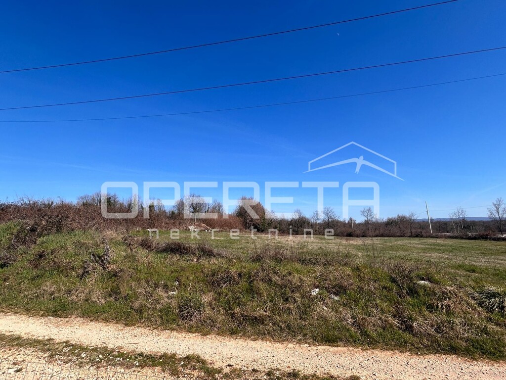 Image 6251047 - 7